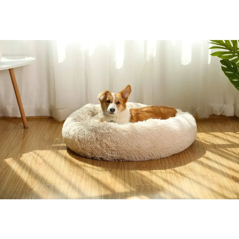 Donut Dog Beds Cat Bed.