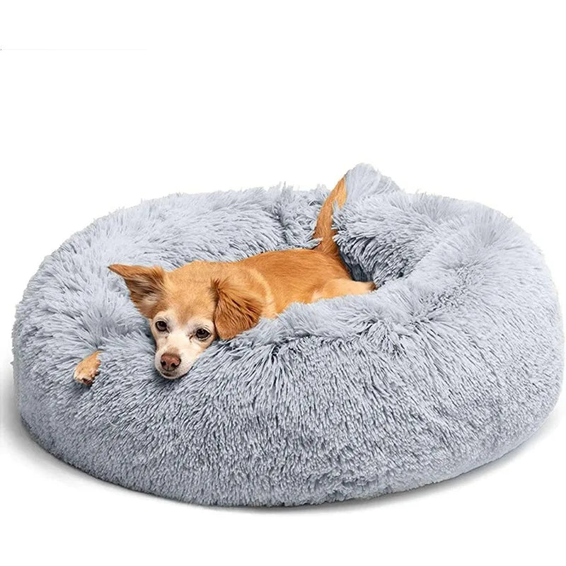 Donut Dog Beds Cat Bed.