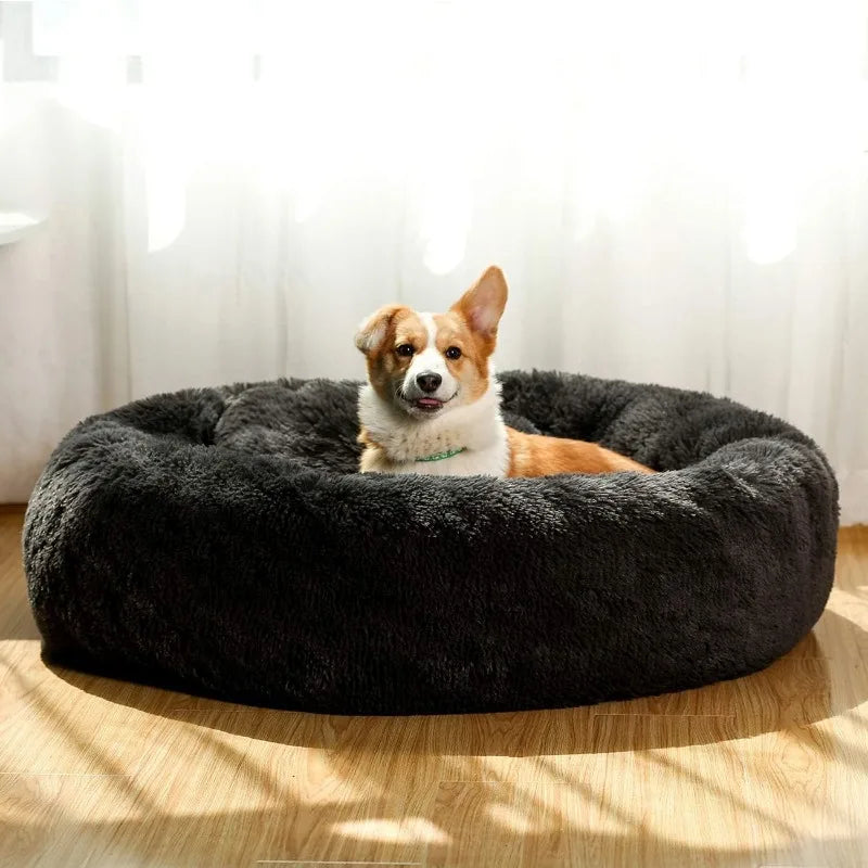 Donut Dog Beds Cat Bed.